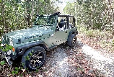 Hot teenage girl gets fucked in the woods, forest sex, teenage sex outdoors, car sex, slutty teenage girl fuckedP